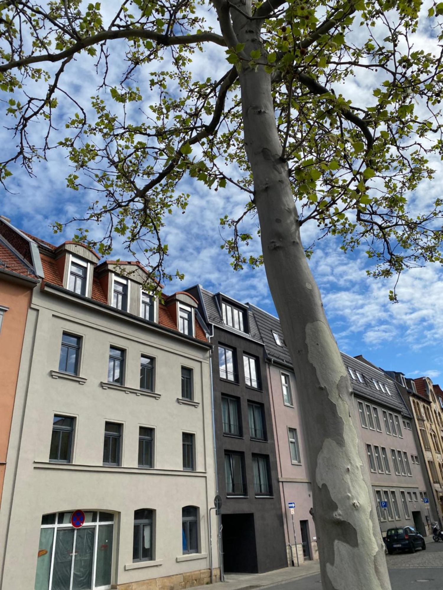 Eiwelhome - Stilvoll, Urban-Ruhig Schlafen, Bahnhofsnah, Balkon Erfurt Dış mekan fotoğraf